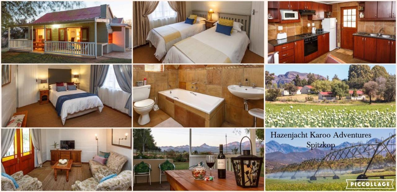 Hazenjacht Karoo Lifestyle - Spitzkop Leilighet Oudtshoorn Eksteriør bilde